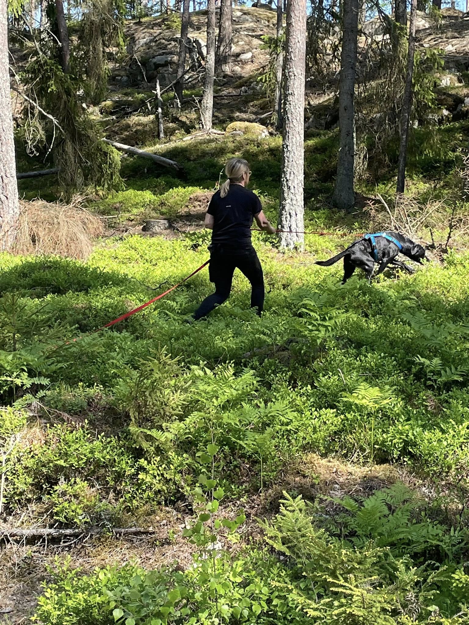 Läs mer på...